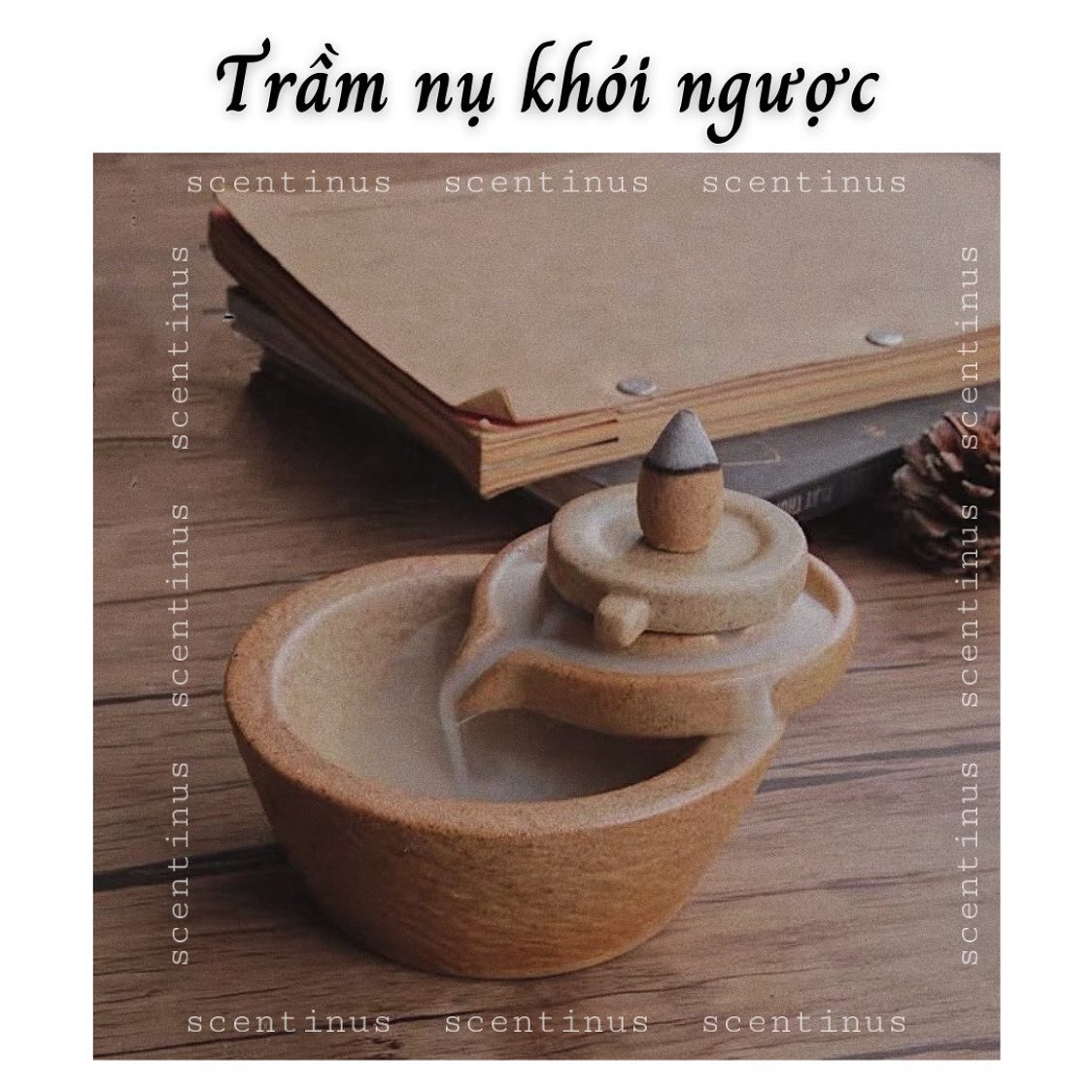 Trầm nụ khói ngược