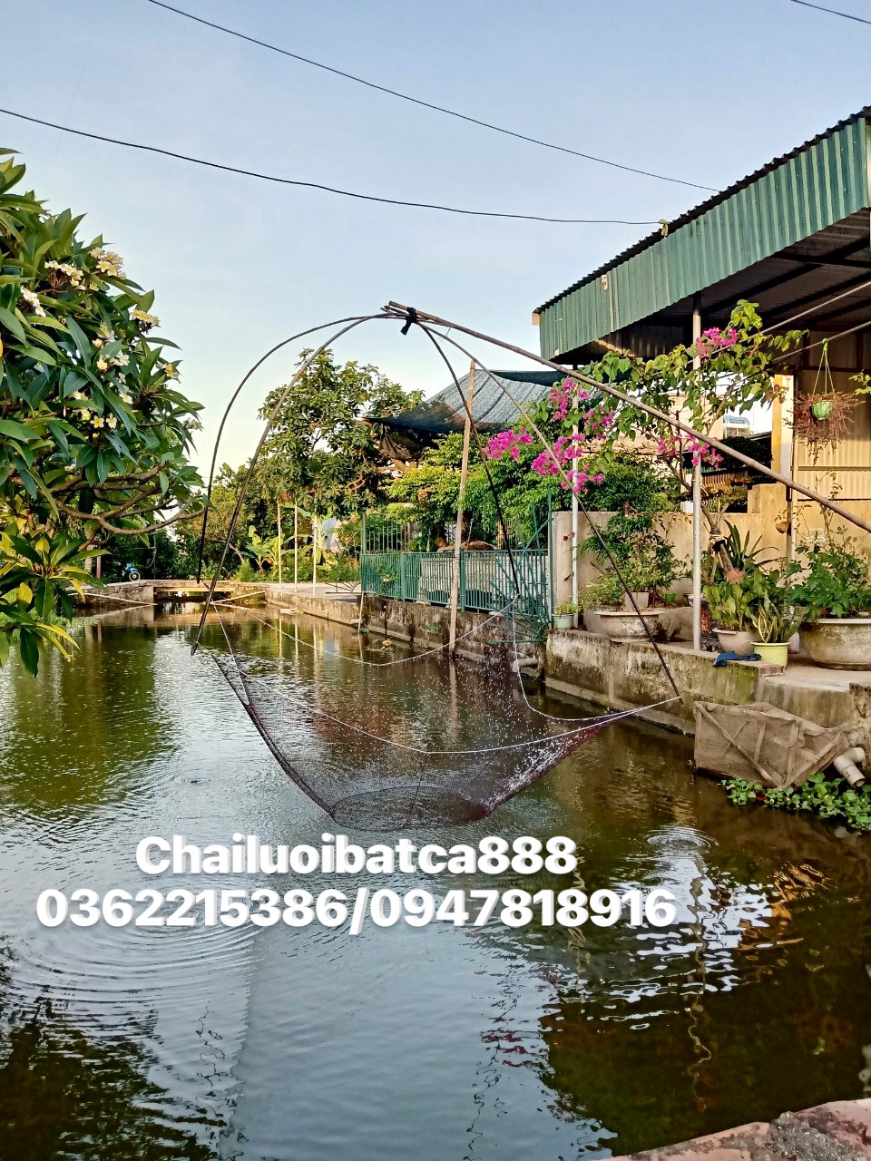 Lưới bắt cá dù câu cá vó đánh cá tôm tép màu gụ bền rộng cạnh 2,4mx2m4 mắt 0,9 mm