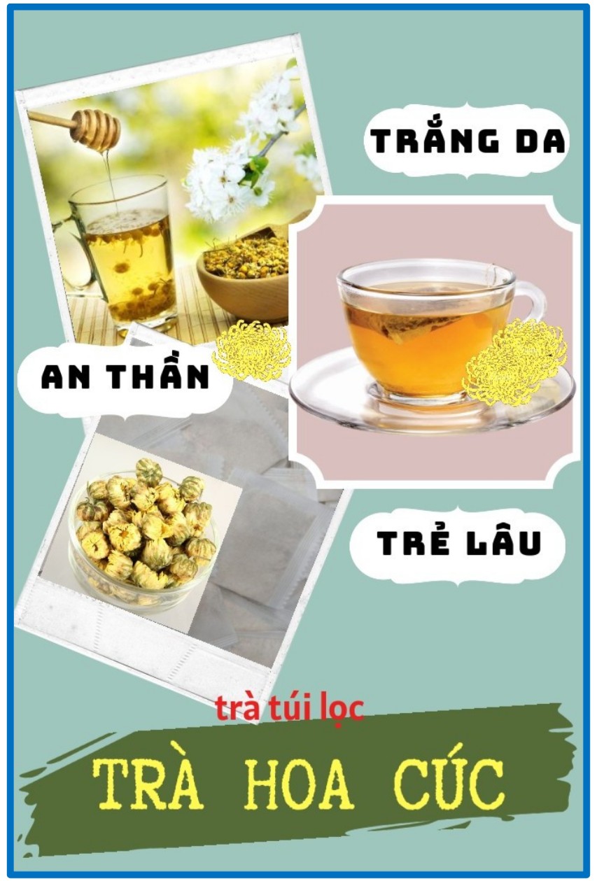 TRÀ HOA CÚC - 40 Túi lọc, Trà Thanh Nhiệt, Trắng Da, Dưỡng Tâm, Dưỡng nhan sắc rất tốt, Trà Đông Y Việt
