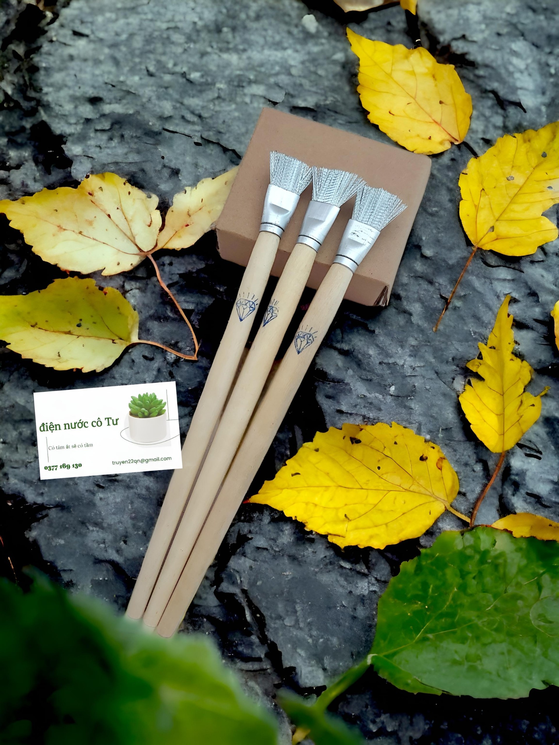 Combo 3 cây cọ sắt Kim Cương