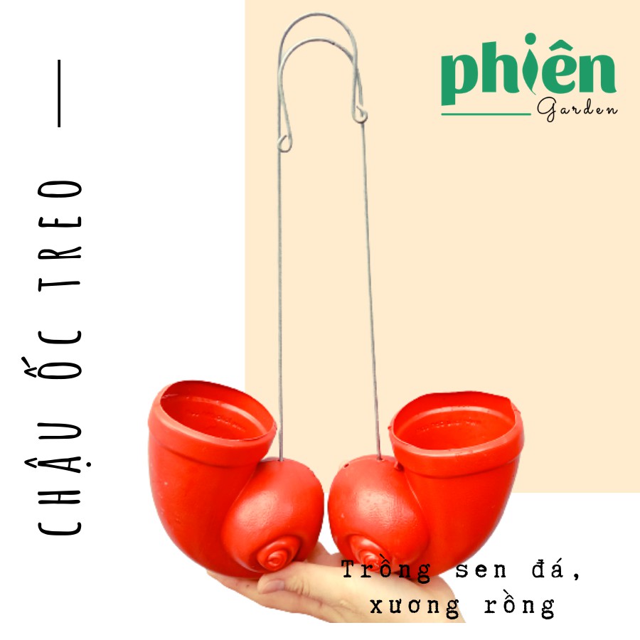 Chậu ốc treo trồng cây chậu treo hình vỏ ốc xinh xắn