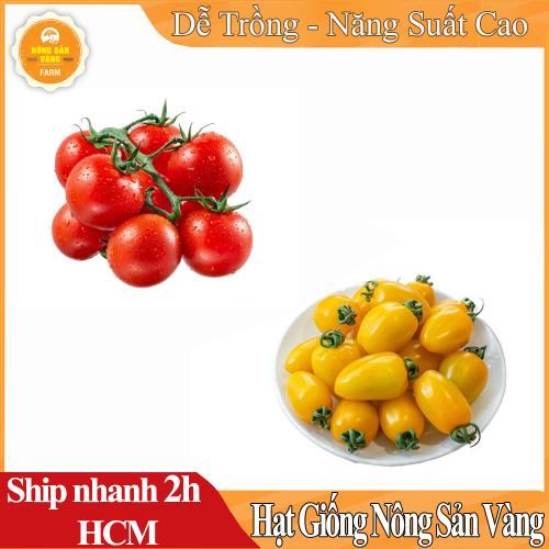 Combo 2 hạt giống cà chua đẹp mắt cho sai quả, nảy mầm tốt, thích hợp với khí hậu việt nam - nông sản vàng