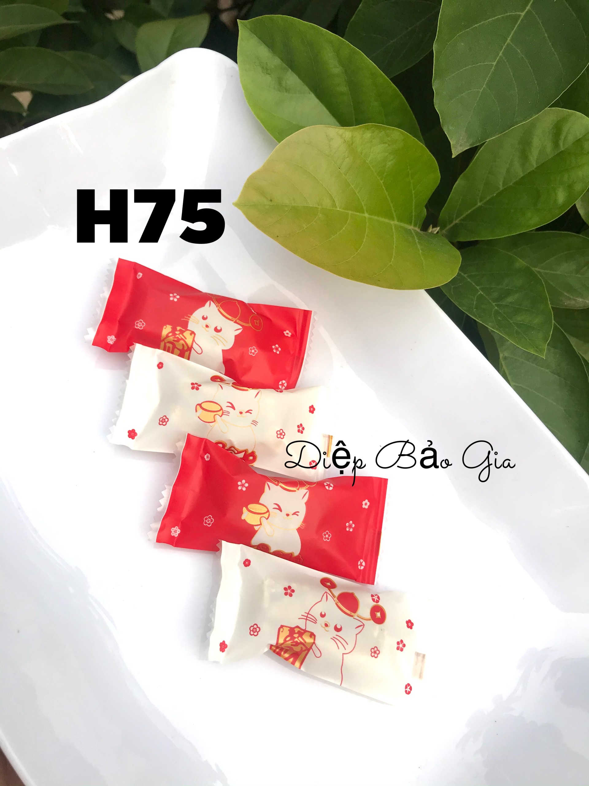 200 túi kẹo nougat mèo hoa h75