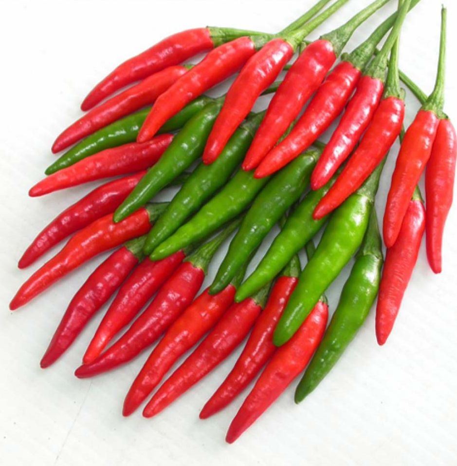 0.5g Hạt giống ớt chỉ thiên siêu cay
