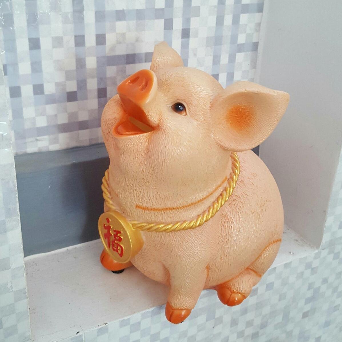Heo Nhựa tiết kiệm tiền 5D