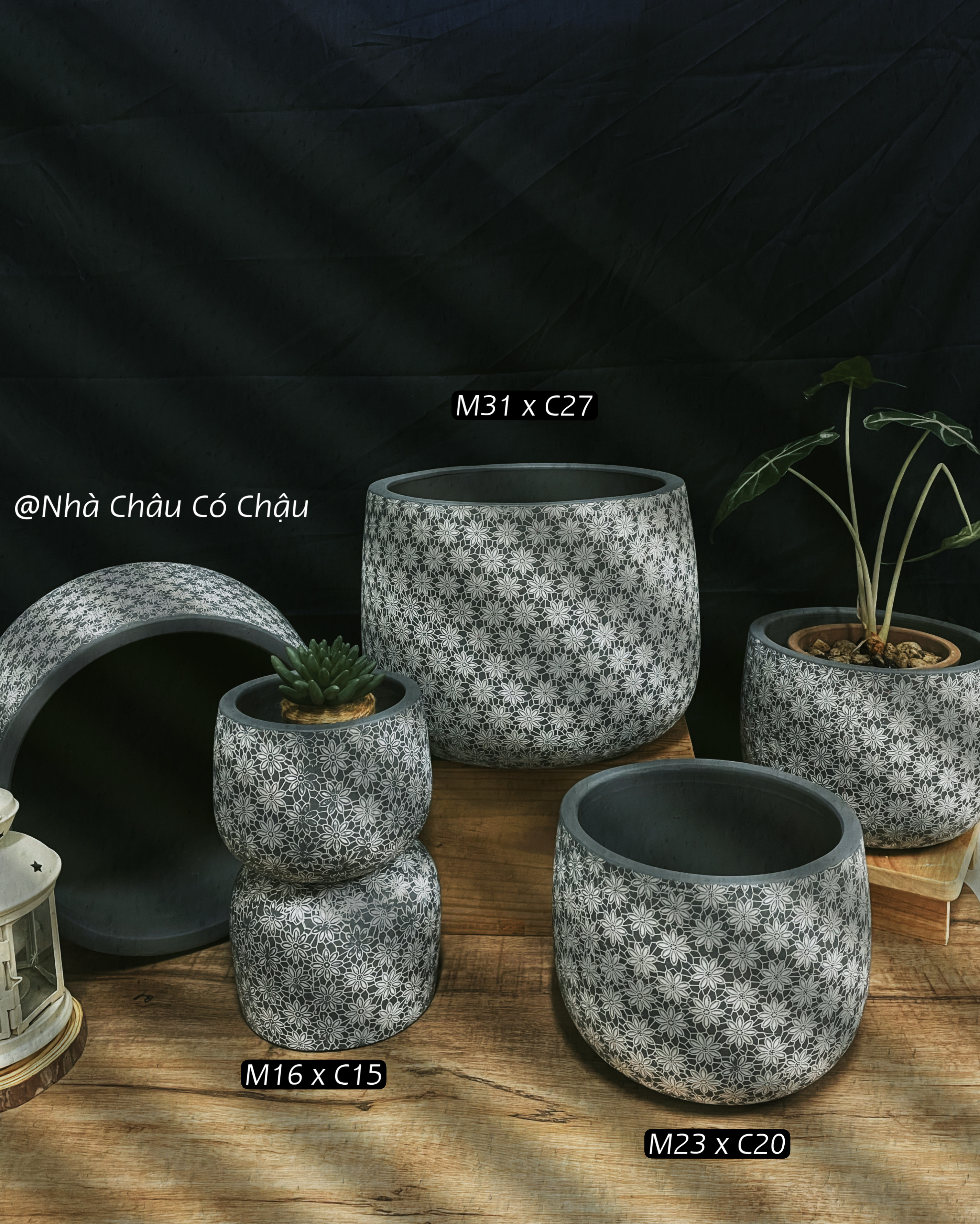Nhà Châu Có chậu Decor - Chậu đất nung wax xám, hoạ tiết bông cúc