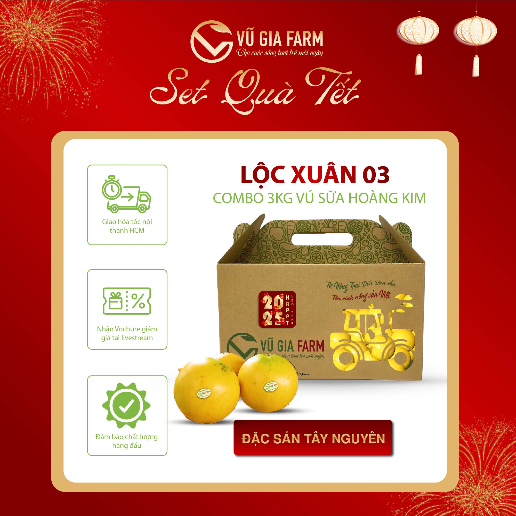 [GIỎ QUÀ] LỘC XUÂN 03 COMBO Vú Sữa Hoàng Kim - Đặc sản Bình Phước