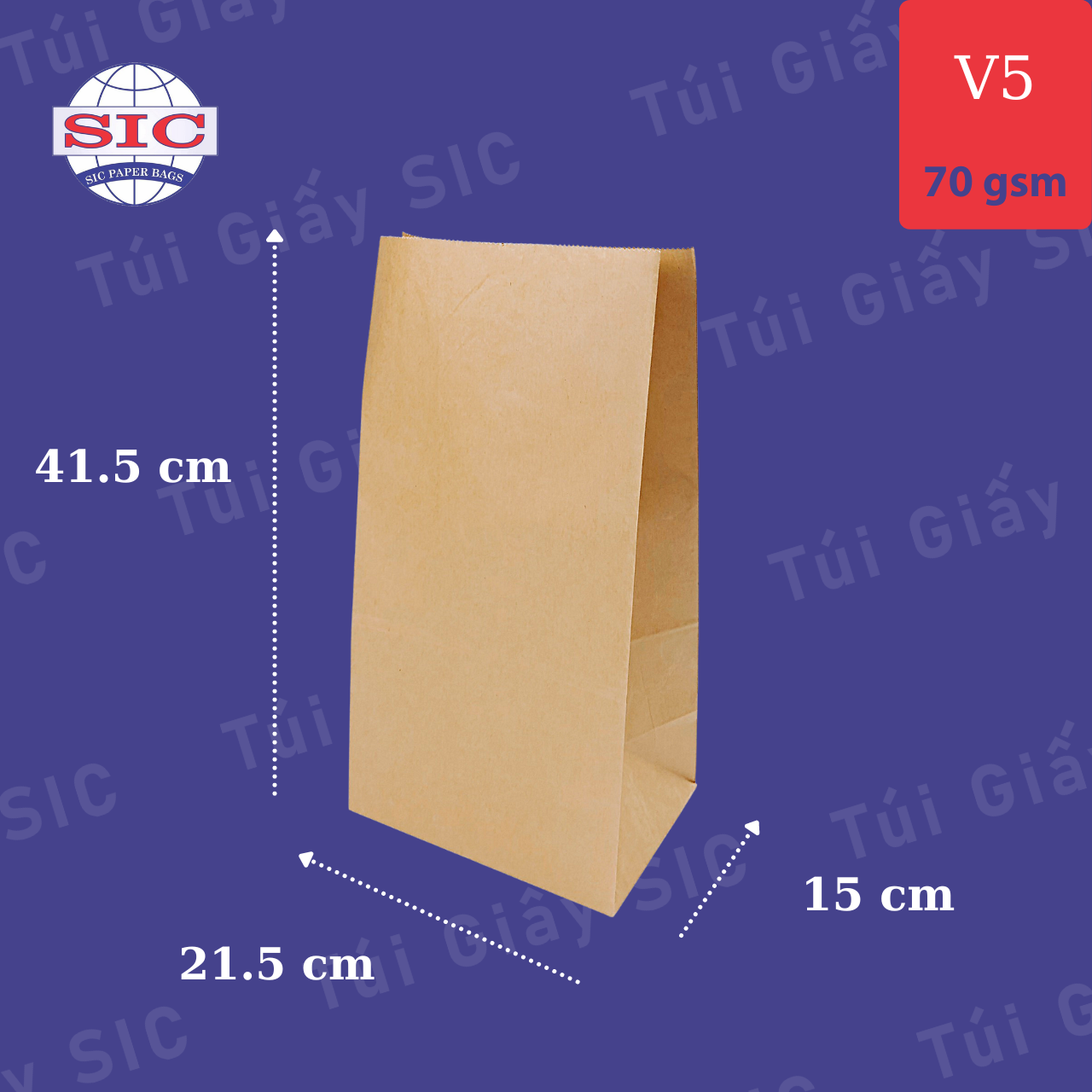 Túi giấy kraft v5: 21.5x15x41.5 không quai