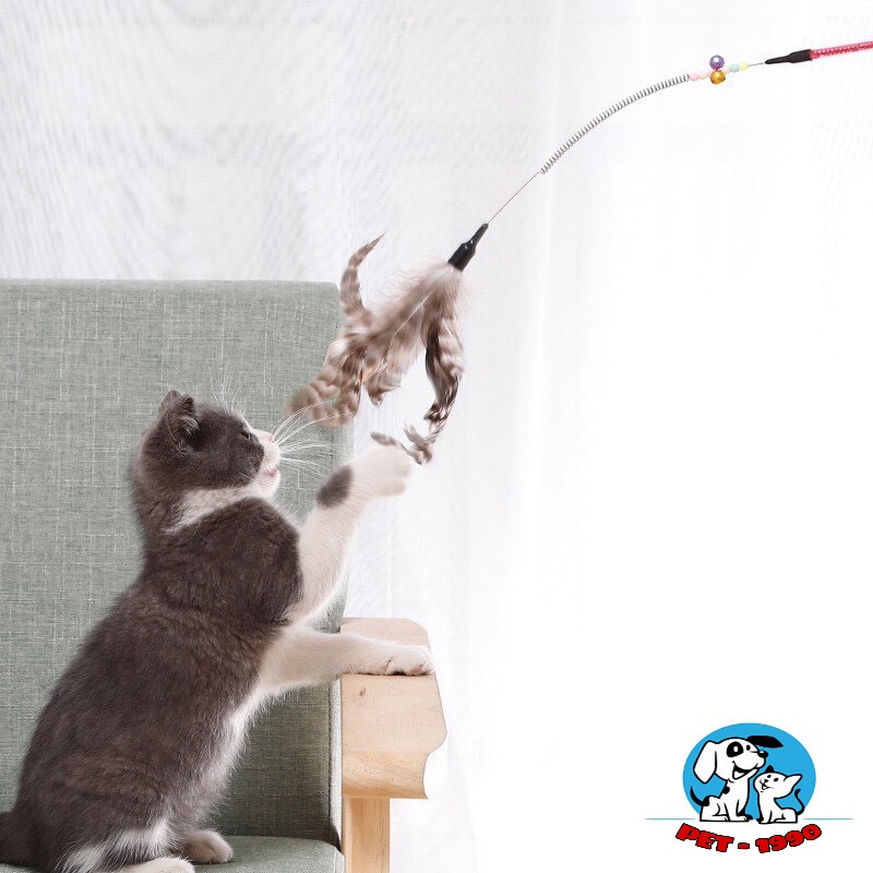 Đồ chơi cần câu dành cho mèo bằng thép gắn lông vũ