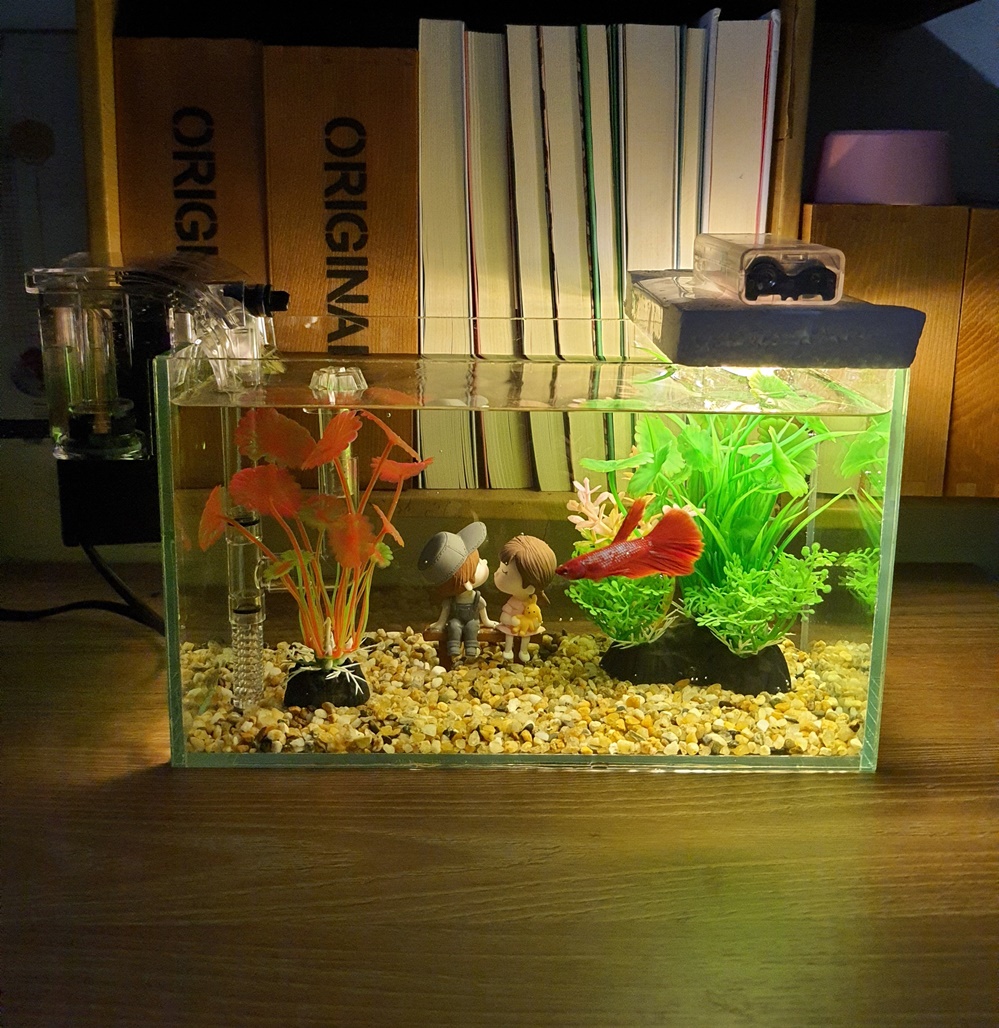 Bể cá mini 24 cm với 7 món (bể 24, sỏi nền, máy lọc, cây nhựa vừa, cây nhựa mini, đèn led xốp, pk cặp đôi)