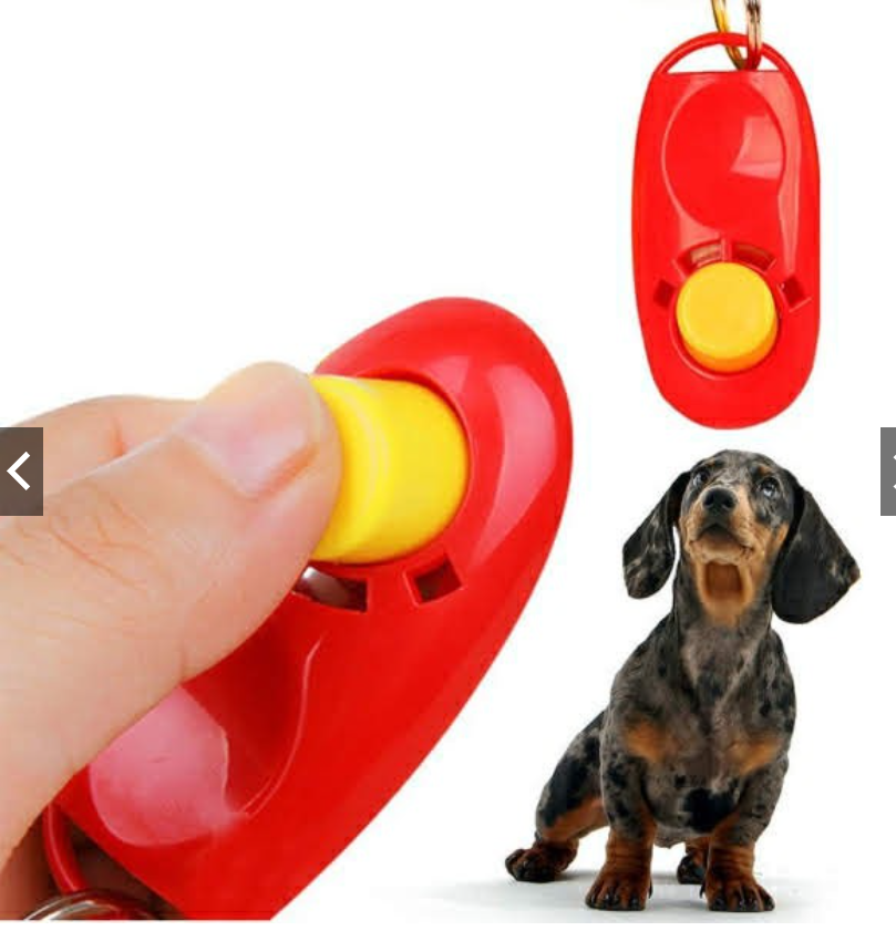 CLICKER BẤM HUẤN LUYỆN CHÓ MÈO VẬT NUÔI THÚ CƯNG