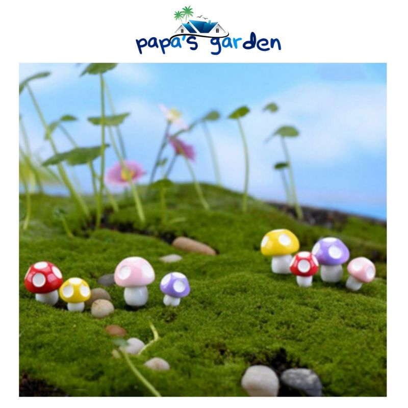 Tiểu cảnh terrarium ️ FREESHIP ️ Nấm mini Tiểu cảnh sen đá sân vườn bể cá