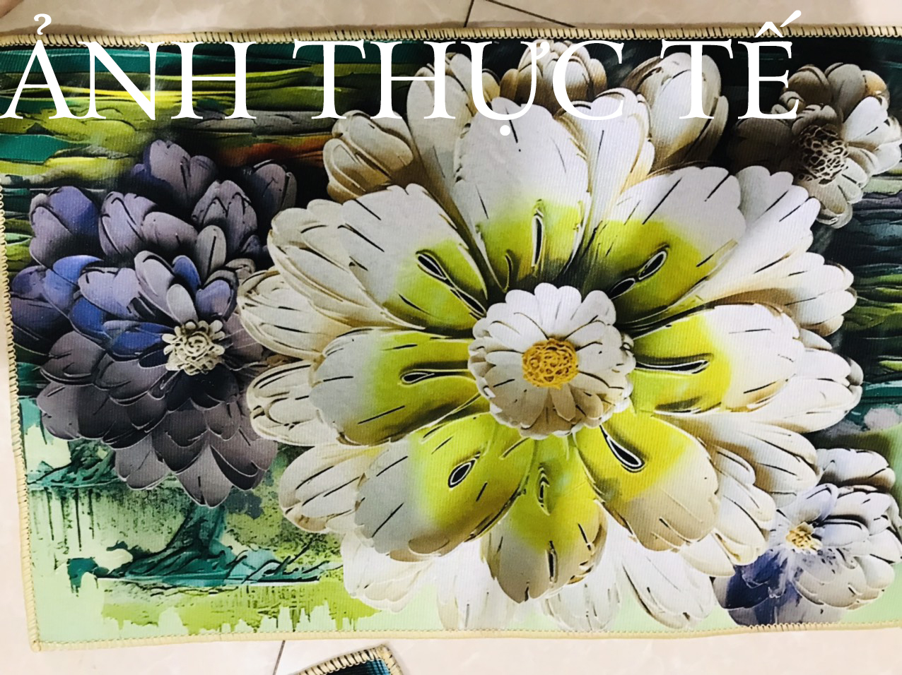 Thảm Lau Chân Bali Dạng Nỉ In Họa Tiết Dạng 5D Phong Cách Hội Họa, Thảm Chùi Chân - Kích Thước 40cm x 60cm dieulinhshop