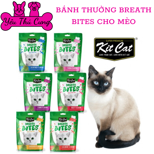Bánh thưởng kitcat breath bites cho mèo-yêu thú cưng