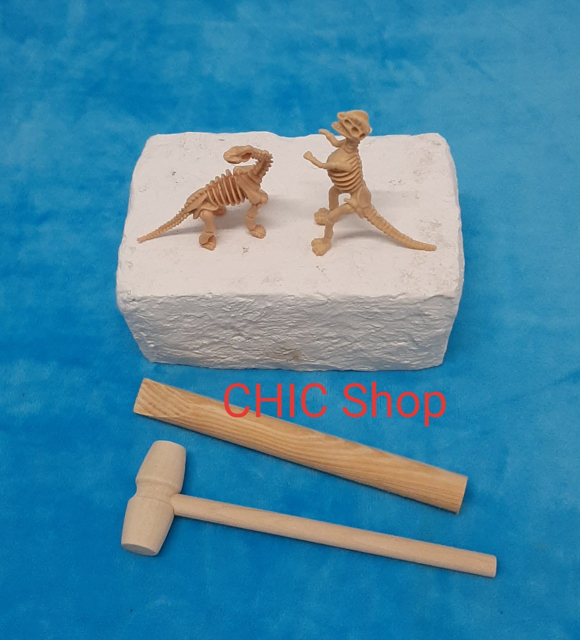 Đồ chơi khảo cổ- 2 bộ xương khủng long size nhỏ- Chọn mẫu