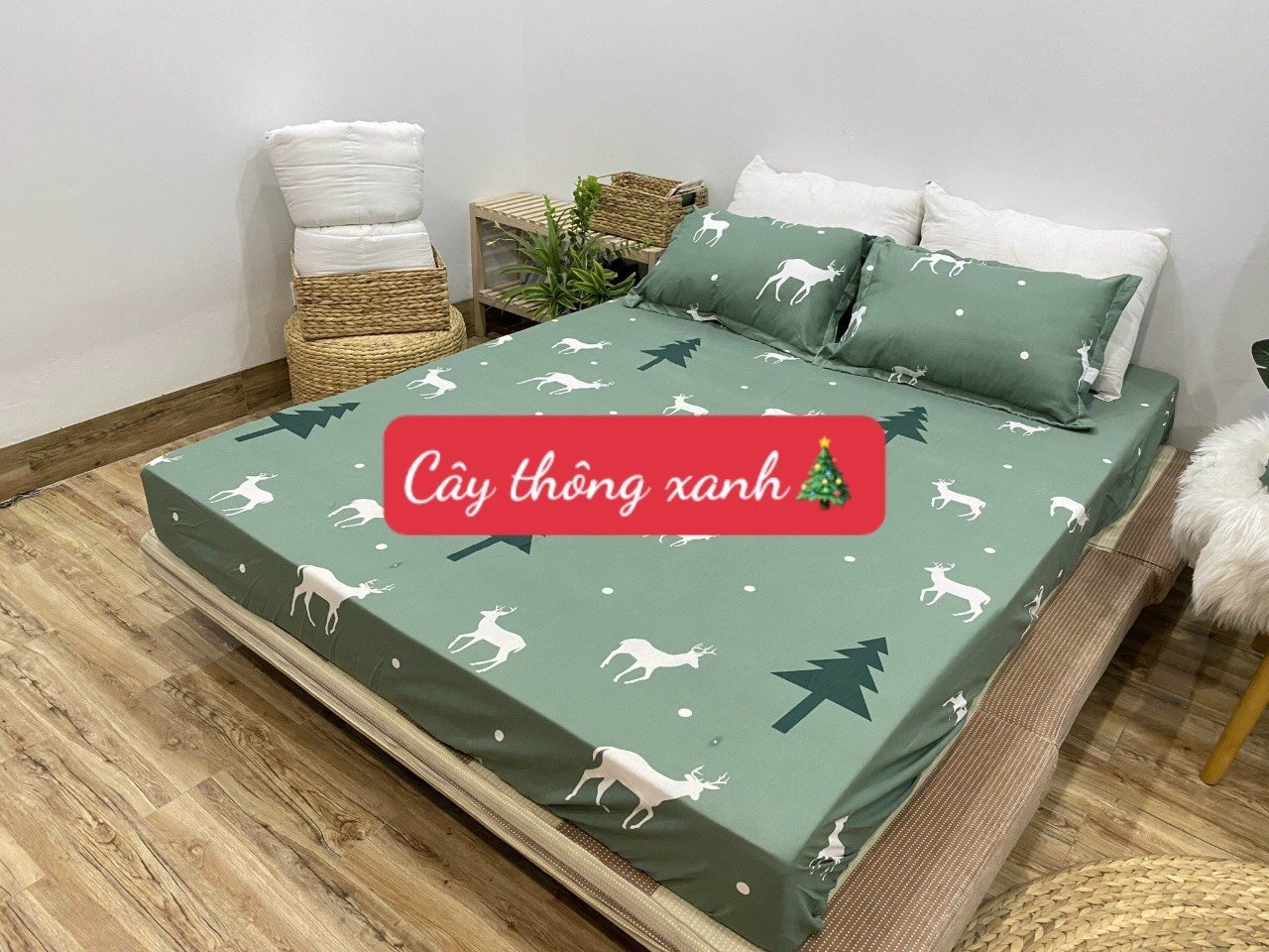 Ga Trải Giường 1m6x2m ,cây thông xanh