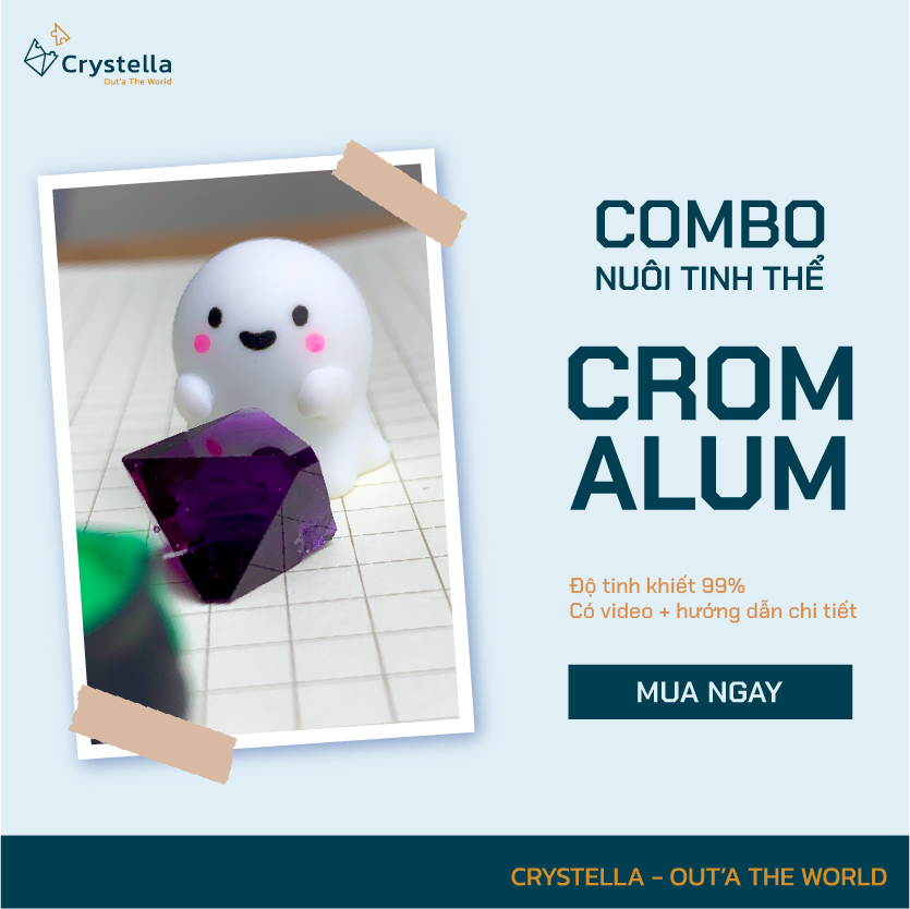 - Bộ combo khoa học nuôi tinh thể Phèn Crom/ Phèn crom 2 lớp kèm hướng dẫn chi tiết
