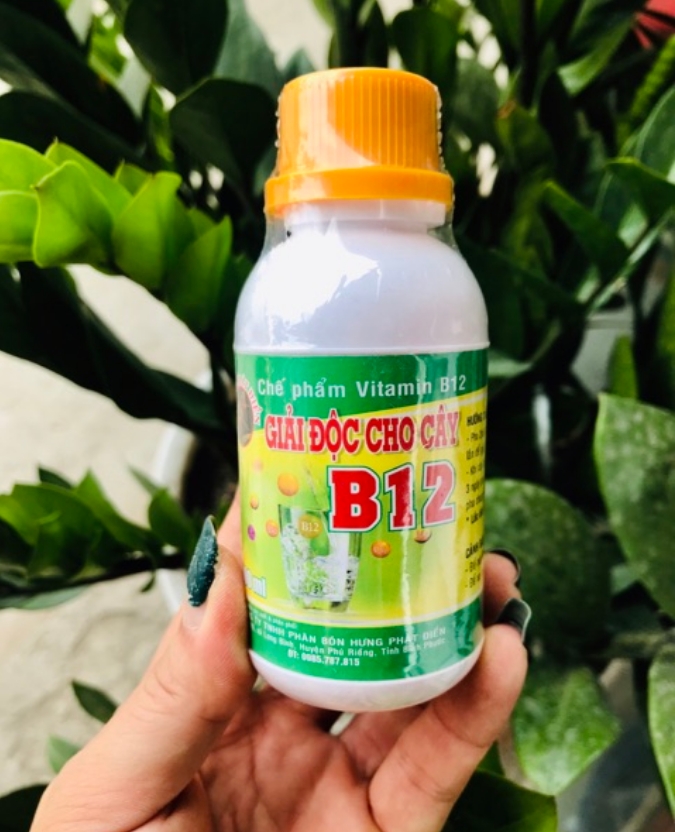 Chế phẩm Vitamin B12 - Giải độc cho cây