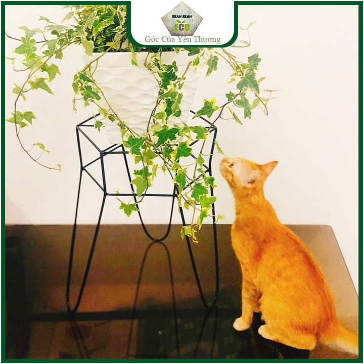 Chân đế kê lục giác cao 35cm kê chậu nhựa cây cảnh