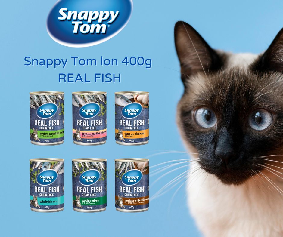 Pate cho mèo snappy tom hộp 400g| pate snappy tom cho mèo
