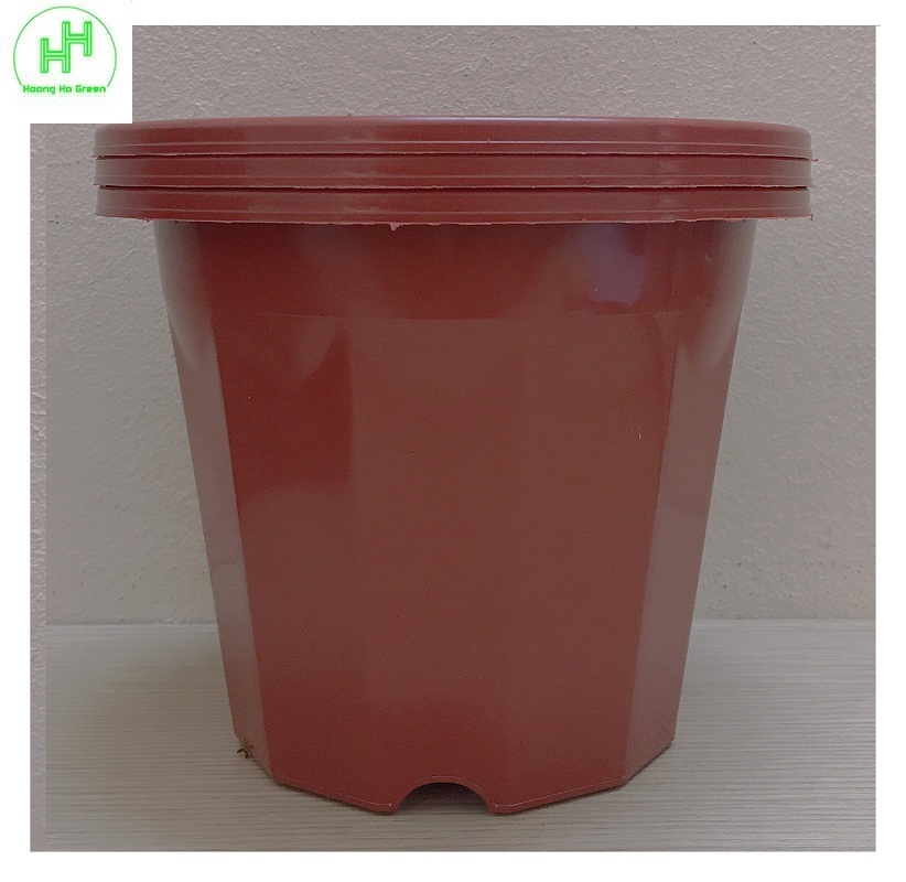 3 chậu nhựa trồng hoa, cây cảnh e230 nhựa bình thuận
