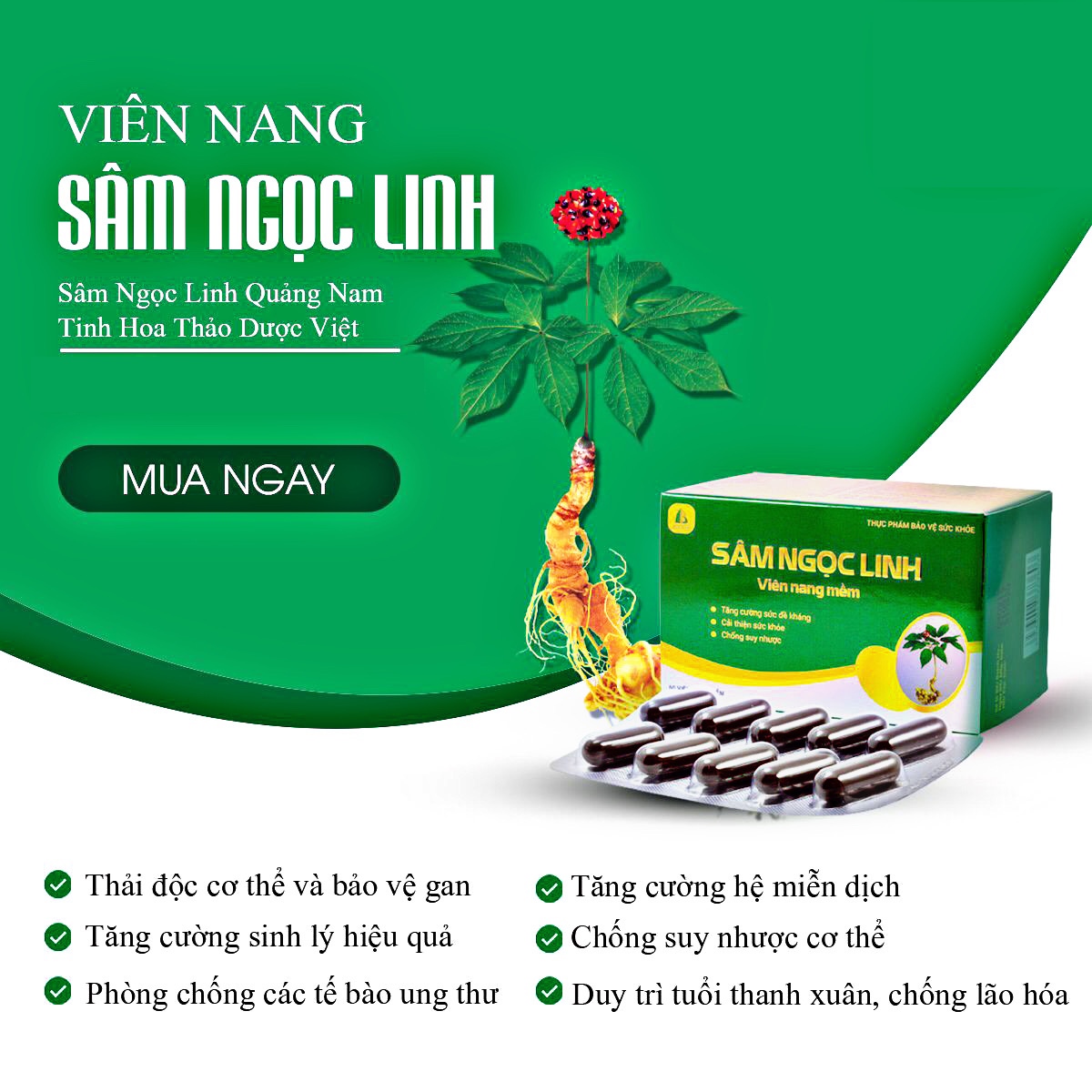 Viên nang mềm sâm Ngọc Linh Quasapharco tăng cường sức khỏe - hộp 60 viên