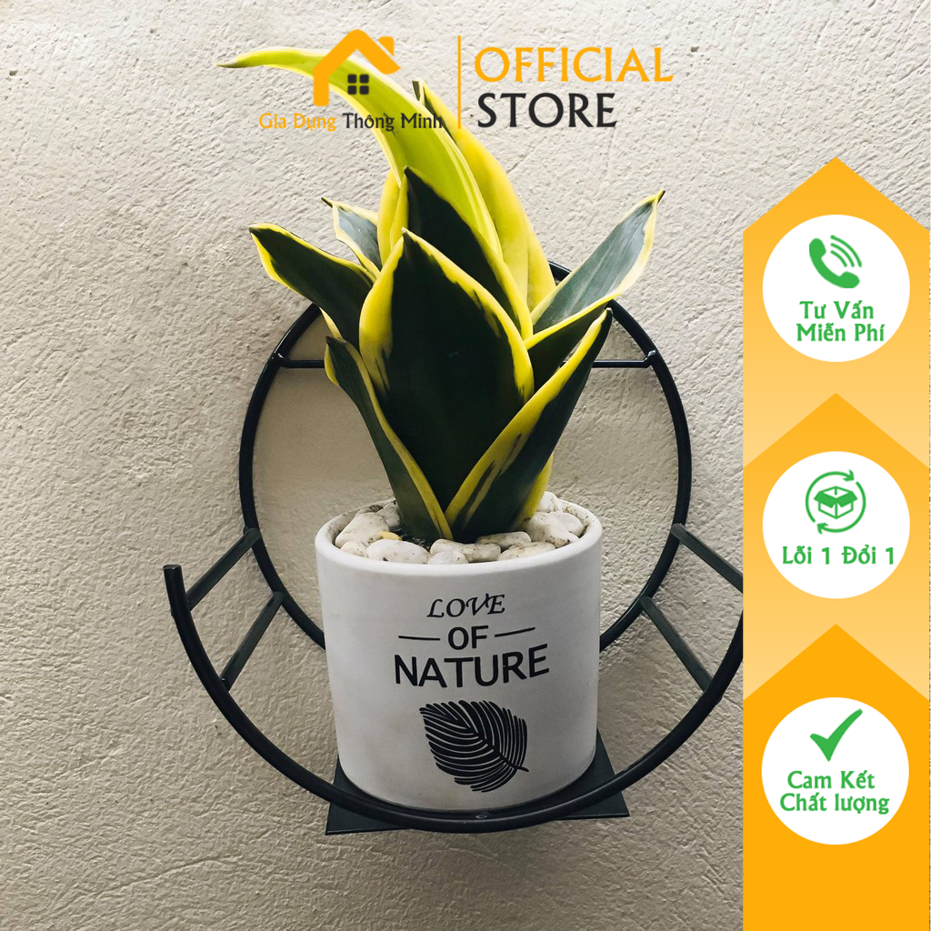 Kệ bán nguyệt treo hoa dán tường - Kệ treo hoa sang trọng, thanh lịch