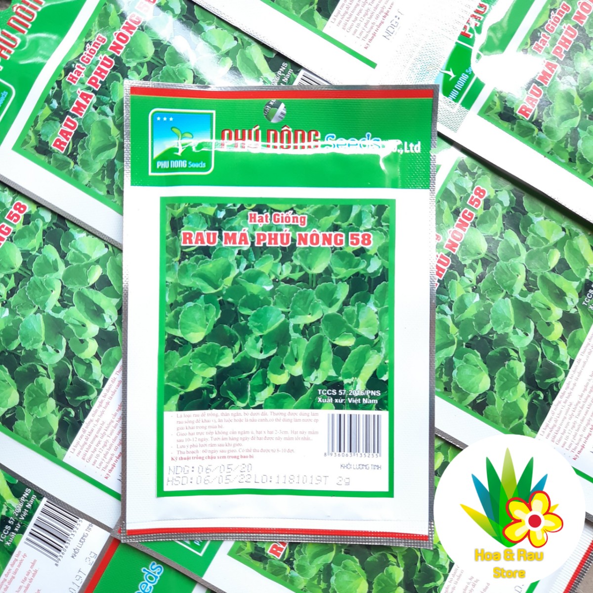Hạt giống rau má pn - gói 2g