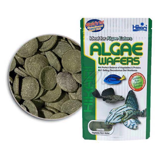 [HCM]Thức ăn cho cá lau kiếng cá chùi hồ Hikari Tropical Algae Wafers  250g Nhật