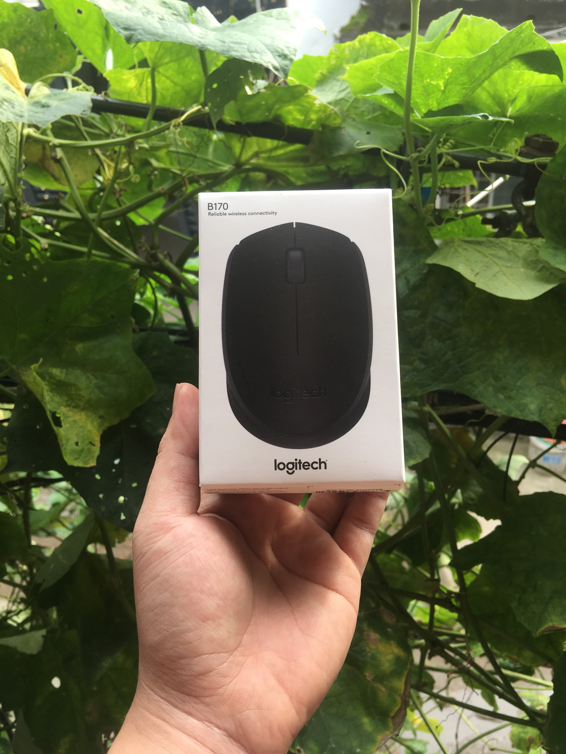 Chuột Không Dây Logitech B170
