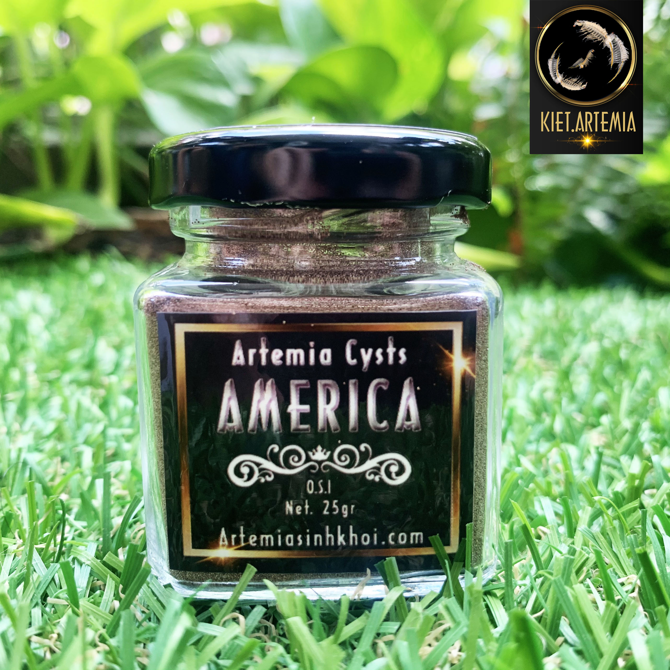 Artemia Mỹ Chất Lượng Quốc Tế