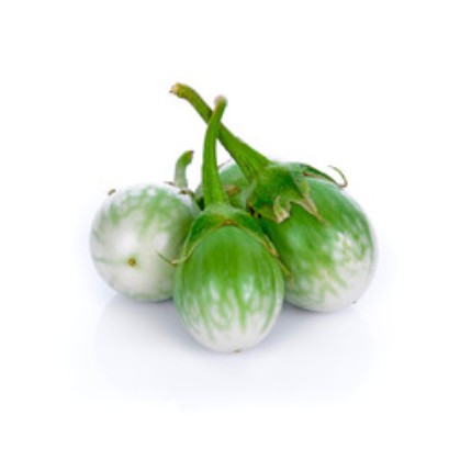 Gói 1GR hạt giống Cà Trứng Rồng Mã Lai F1 SV No 1