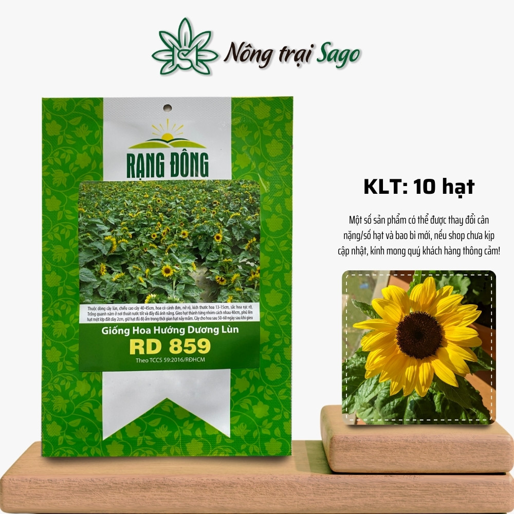Hạt giống Hoa Hướng Dương Lùn Rd 859 (10 hạt) nảy mầm tốt, thích hợp trồng chậu, hoa nở to, chăm quanh năm, hiệu Hạt giống Rạng Đông - Nông Trại Sago