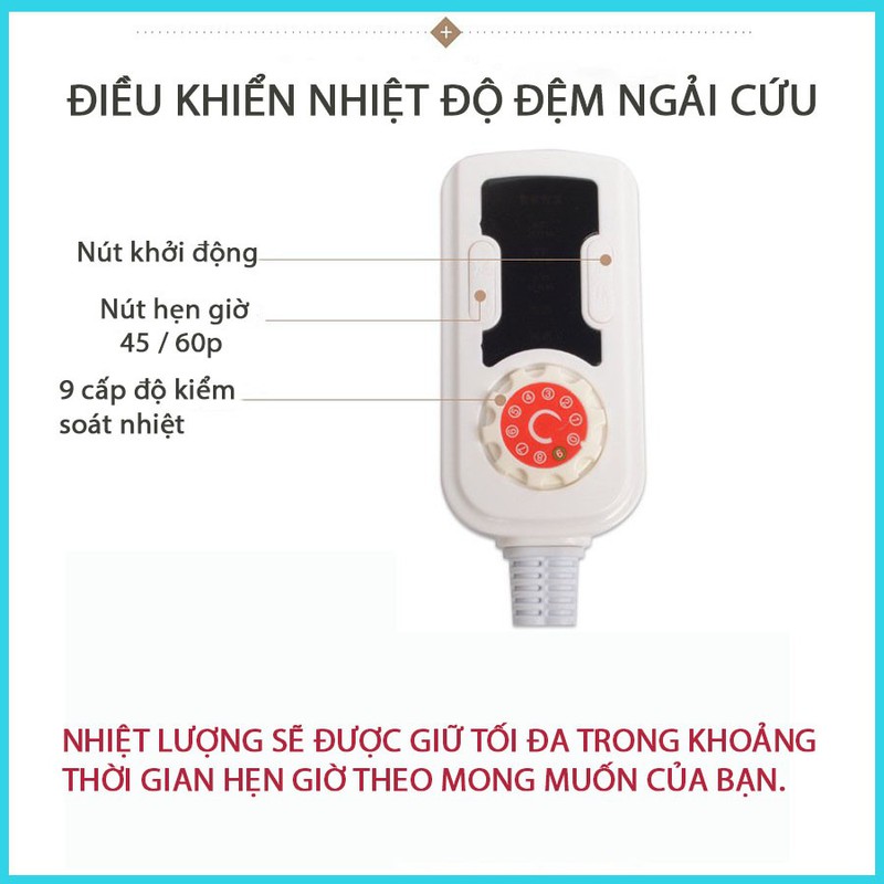 Điều khiển điện - Phụ kiện thay thế dành cho đệm ngải cứu, thảm nằm ngải cứu Đông Y Trung Quốc