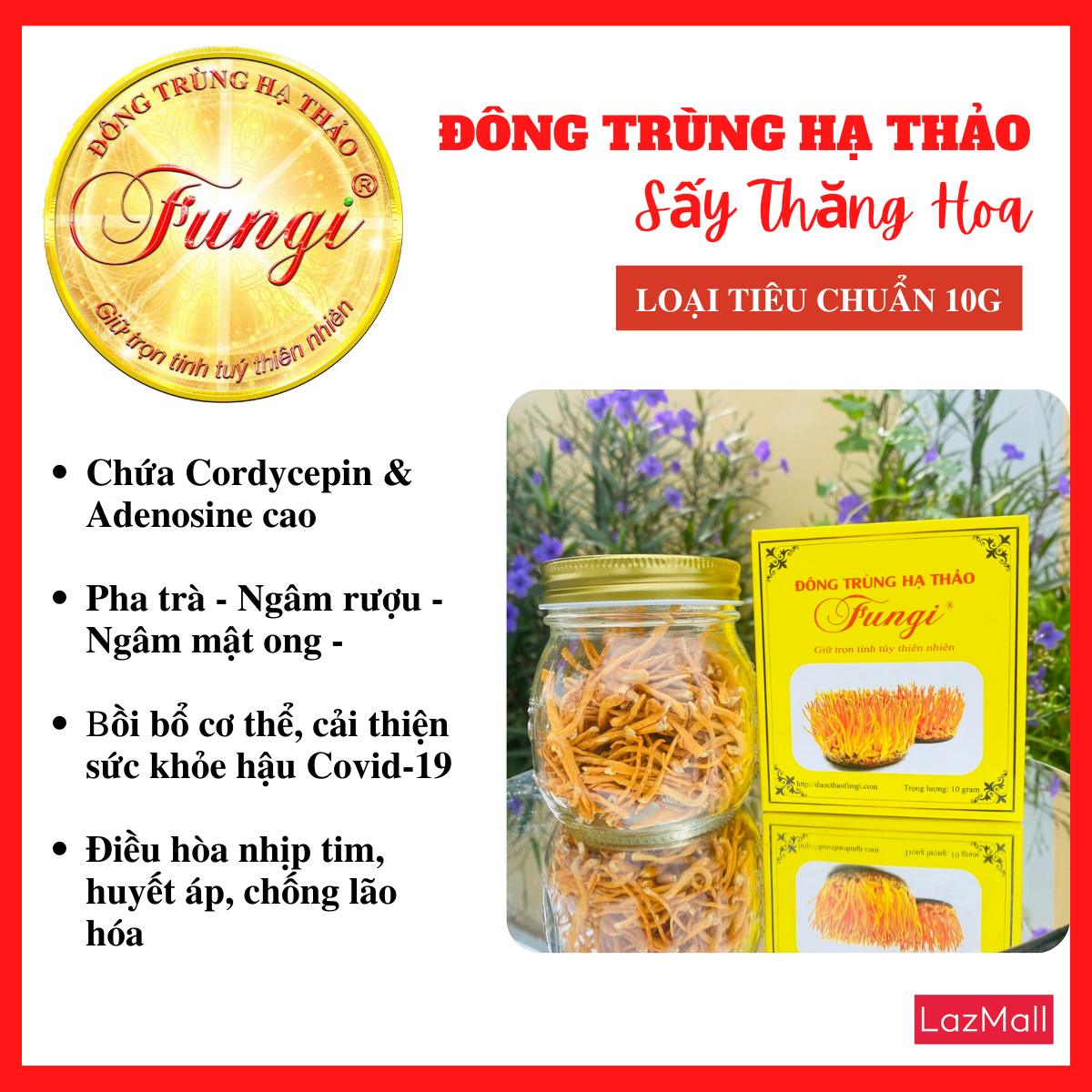 Đông trùng hạ thảo FUNGI (15 Gram) Sấy thăng hoa loại Tiêu chuẩn - Cordycepin & Adenosine cao giúp tăng đề kháng mạnh, ngủ ngon, giảm mệt mỏi, giảm đường huyết, ổn định huyết áp, tim mạch
