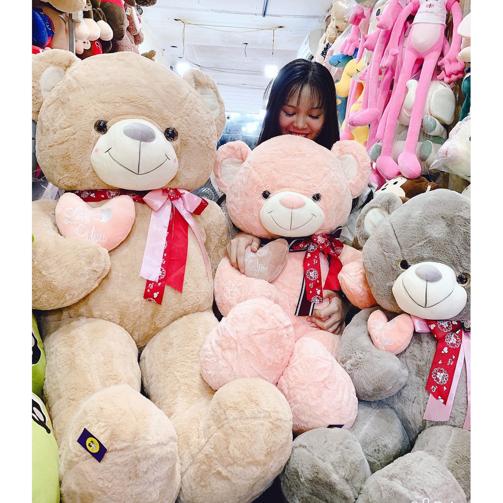 Gấu Bông Teddy Ôm Tim Lệch 2 Màu Hồng Và Ghi Kích Thước 80-100-135Cm Bunoo Shop