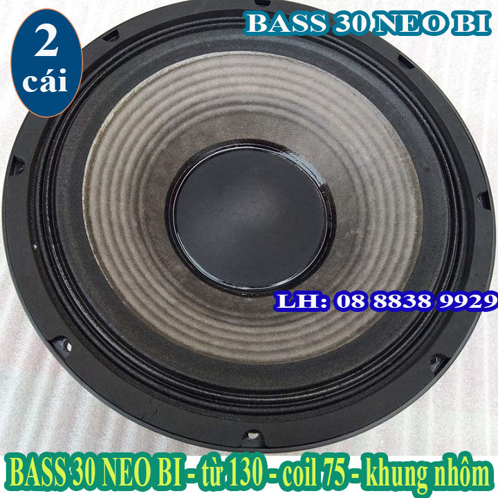 Cặp loa bass 30 neo hạt jbl cao cấp - nhập khẩu china - giá 2 chiếc