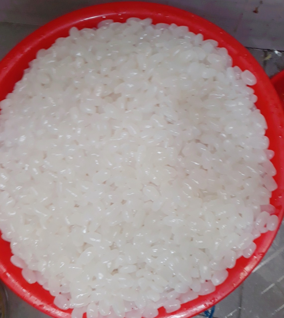 Hạt đác tươi Nha Trang - 1kg