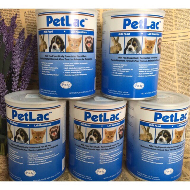 Sữa bột cho chó mèo petlac 300g
