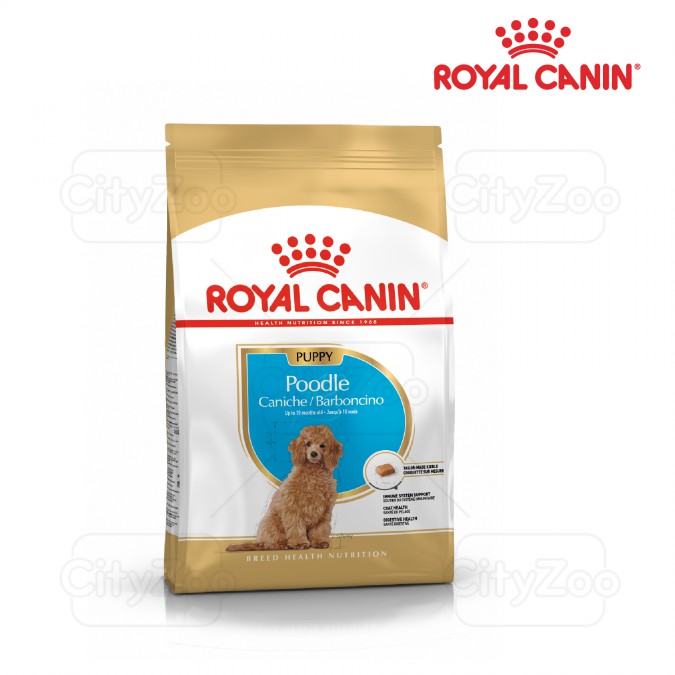 Thức ăn Royal Canin Poodle Puppy cho chó con