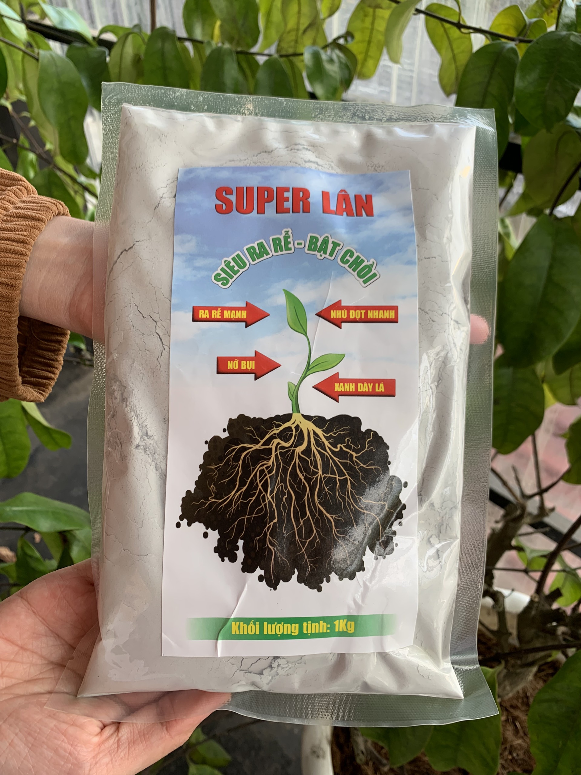 Phân bón super lân 1kg