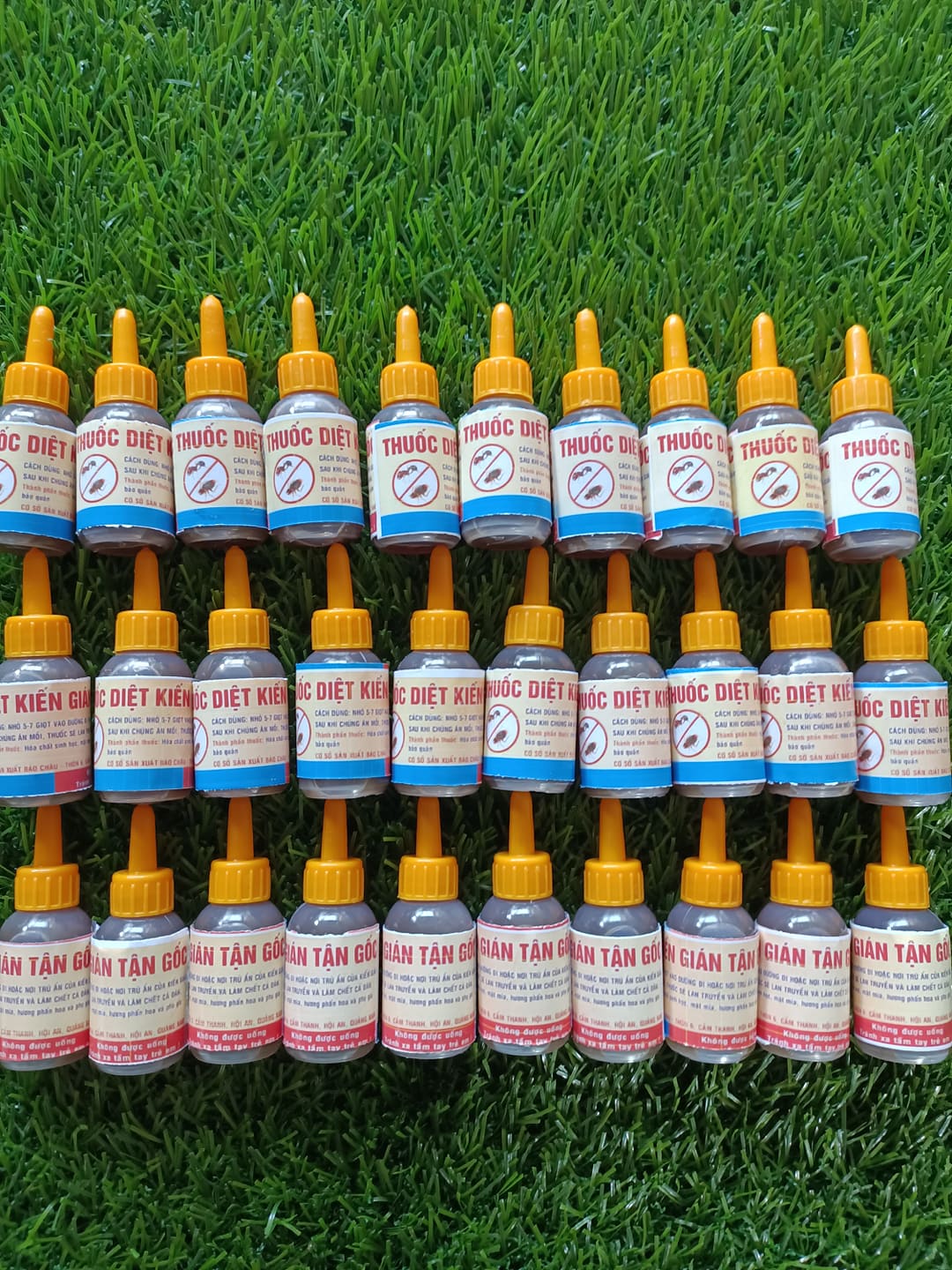 50 lọ thuốc diệt kiến gián tận gốc sinh học
