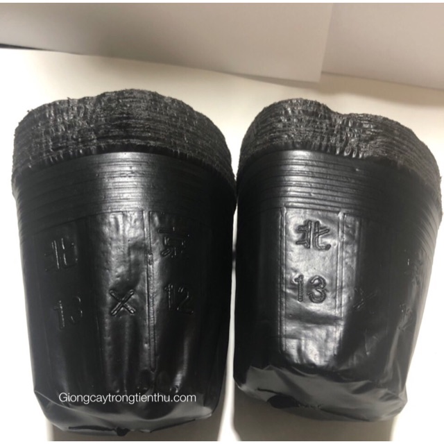 TÚI BẦU ƯƠM CÂY GIỐNG (13x12cm) 1kg