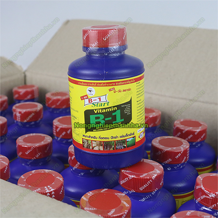 Phân bón kích rễ Vitamin B1 Thái Lan 100ml - T162