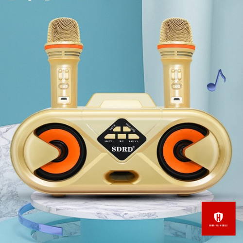 Loa Karaoke Bluetooth SD-303 XỊN âm thanh hay, kiểu dáng đẹp, 2 mic song ca cực chất