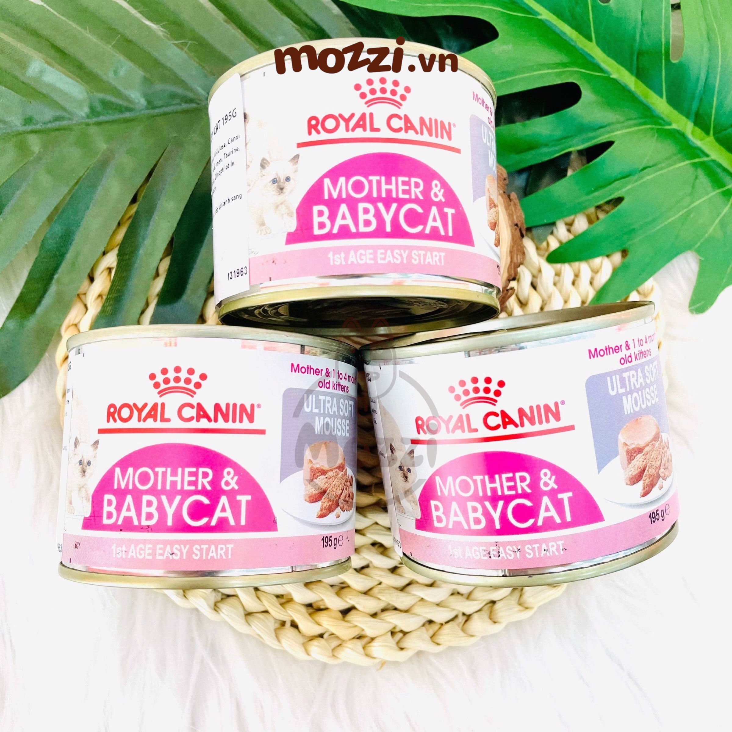 Pate cho mèo Mother & BabyCat Royal Canin Lon 195gr