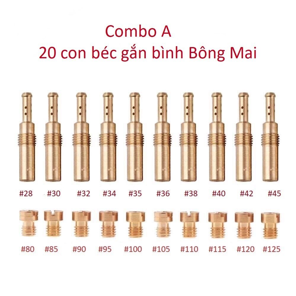 Combo a gồm 20 con : béc bông mai / giclo bông mai