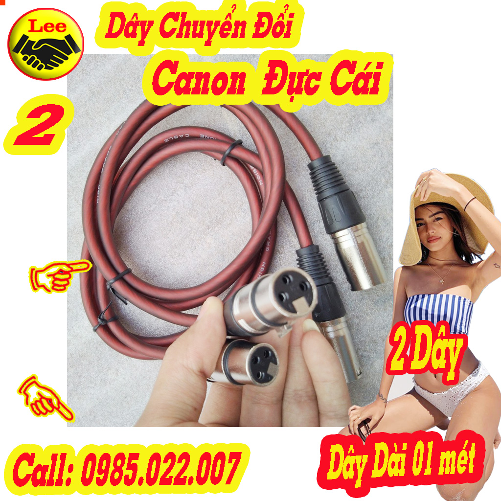 Bộ 2 dây ca non cái sang ca non đực - 1 mét loại tốt