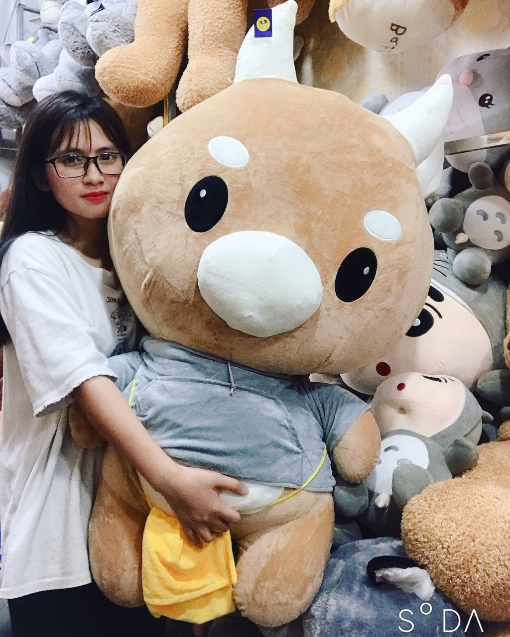 Gấu bông bò chăm chỉ khổng lồ bò chăm chỉ thư kí kim gấu bông giá sỉ ảnh thật