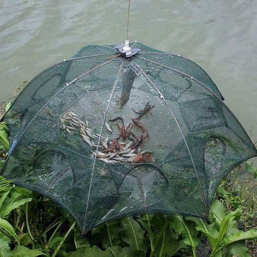 Lưới bắt cá